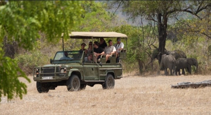 Nyerere National Park