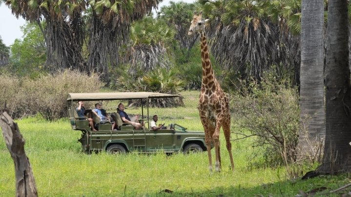 Nyerere National Park