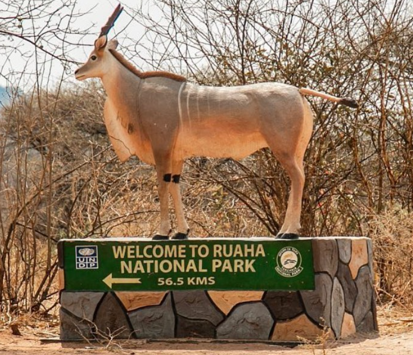 Ruaha National Park