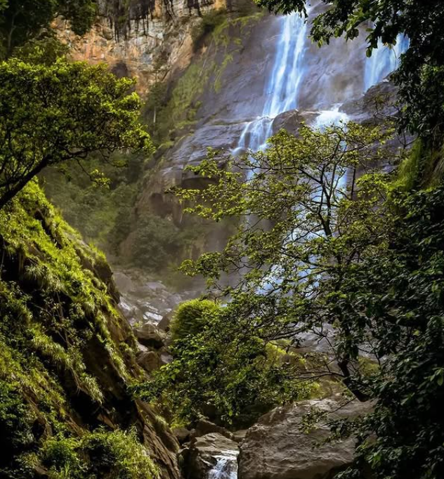 Udzungwa Mountains National Park