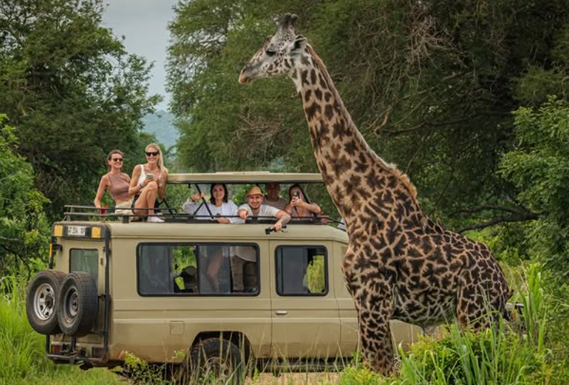 12-Day Private Excellent Safari South Circuit