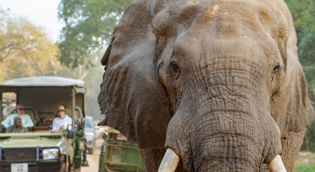 2-Day Zanzibar to Selous by Boat, Car And Back by Airplane