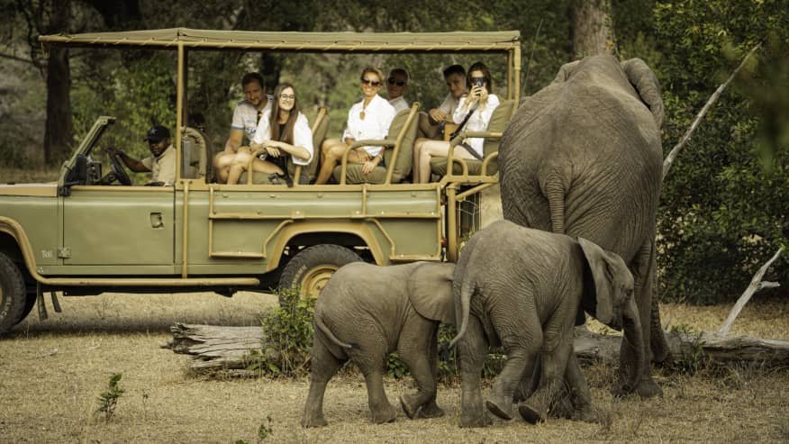 3-Day Express Safari Zanzibar to Nyerere NP by Flight