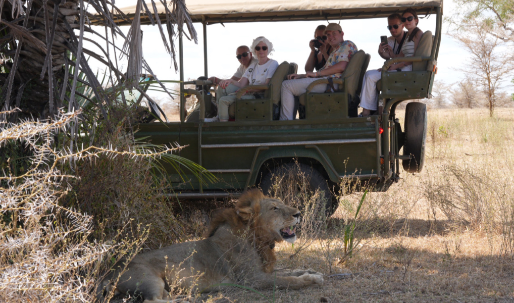 3-Day Fly Zanzibar to Nyerere NP, Night Game Drive