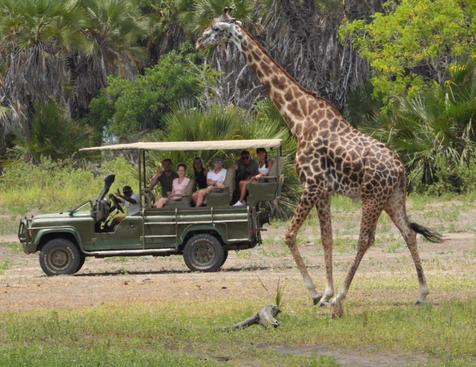 4-Day Zanzibar to Nyerere NP  Flying Package