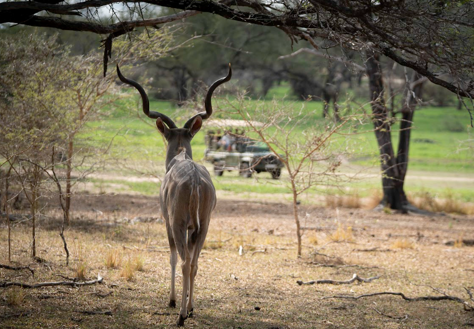 4-Day Zanzibar to Nyerere NP  Flying Package
