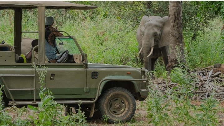 5-Day Wonderful Safari Zanzibar to Nyerere NP by Flight