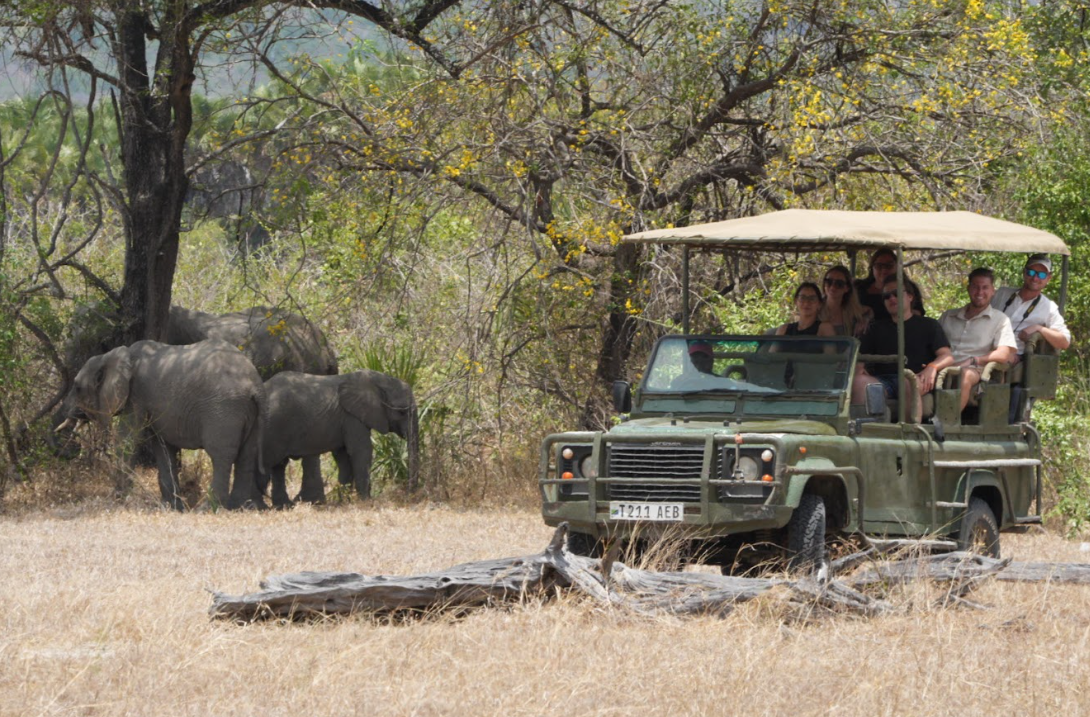 Flying Zanzibar to Mikumi NP, Full Day Game Drive