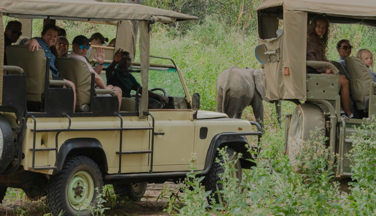 Flying to Nyerere National Park For Game Drive
