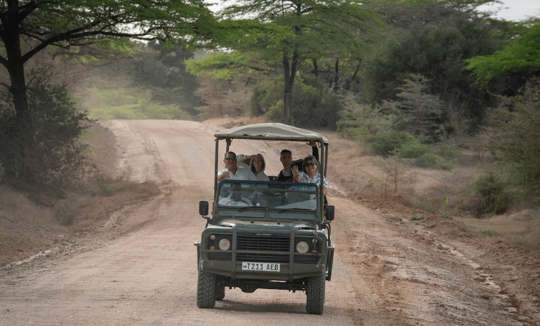 Zanzibar Hotel Pickup – Fly to Selous – Afternoon Game Drive with Lunch