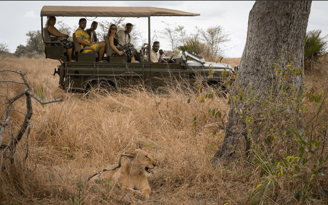 Day Game Drive Safari