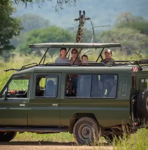 Transfer Dar es Salaam to Mikumi National Park & Game Drive