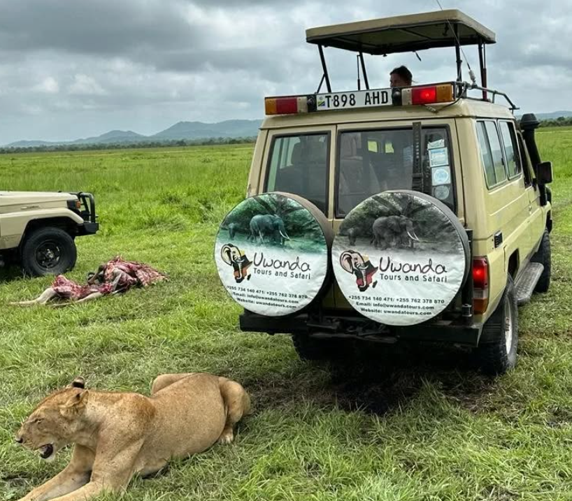 Dar es Salaam To Selous Game Reserve (Nyerere NP) By Car
