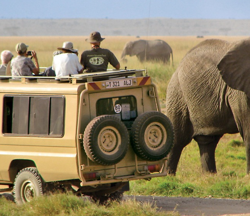 Game Drive And Flying Back Zanzibar