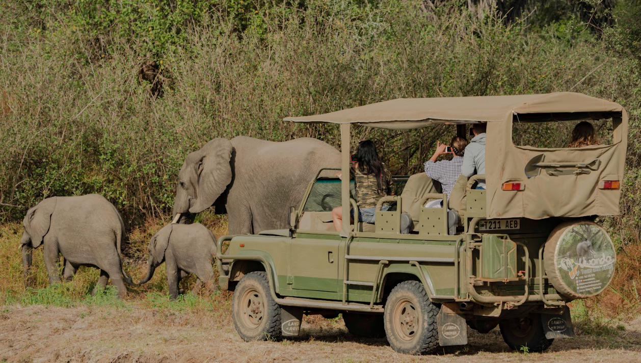 Flying Zanzibar to Selous for Full-Day Game Drive