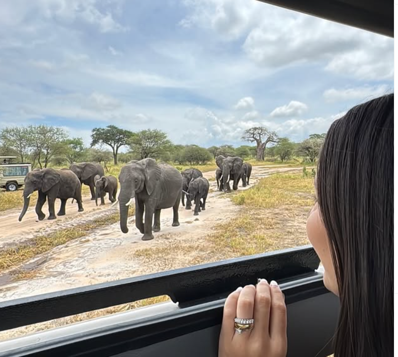 Game Drive At Ngorongoro Crater