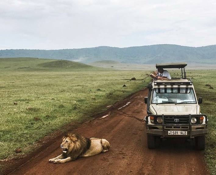 Zanzaibar to Arusha And Game Drive Tarangire NP