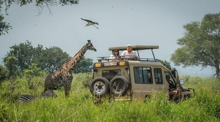 Mikumi to Nyerere National Park | Boat Safari