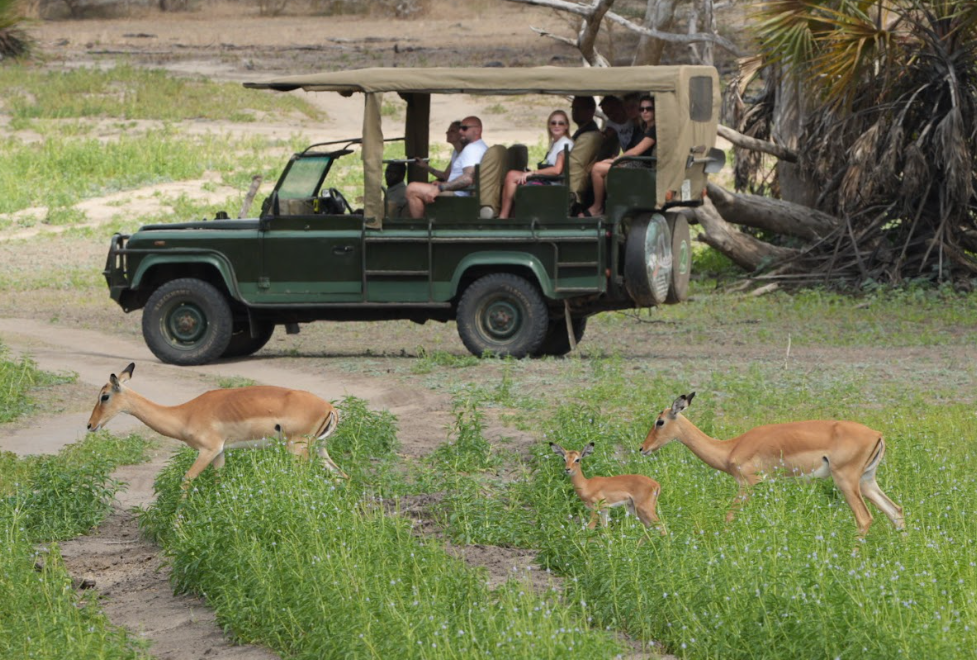 Zanzibar Hotel Pickup – Fly to Selous – Afternoon Game Drive with Lunch
