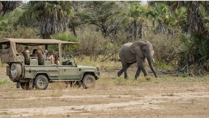 Hotel Pick-Up in Zanzibar – Flight to Nyerere NP – Game Drive