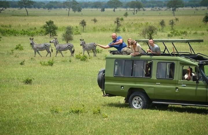 Transfer from Mikumi to Ruaha National Park