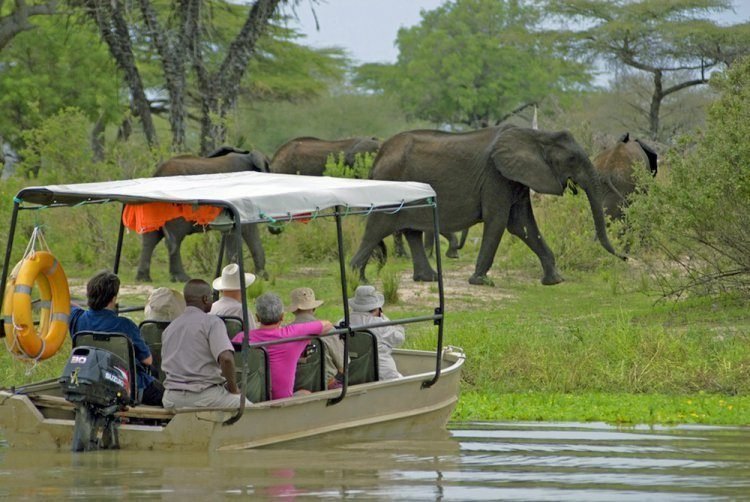 Full-Day Boat Safari in the Park