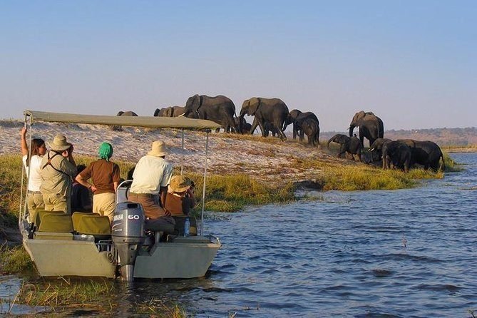 Relax With Maasai Culture Tour And Boat Safari