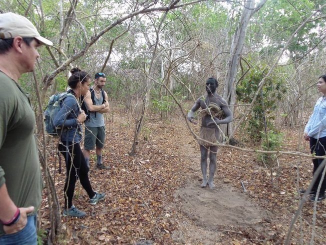 Walking Safari