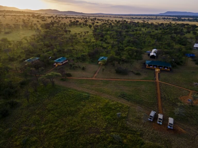 Serengeti Classic View Camp