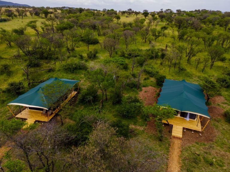 Flight Zanzibar to Serengeti National Park