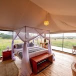 Serengeti Classic View Migration Camp -  Ndutu