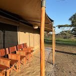 Serengeti Classic View Migration Camp - Ndutu
