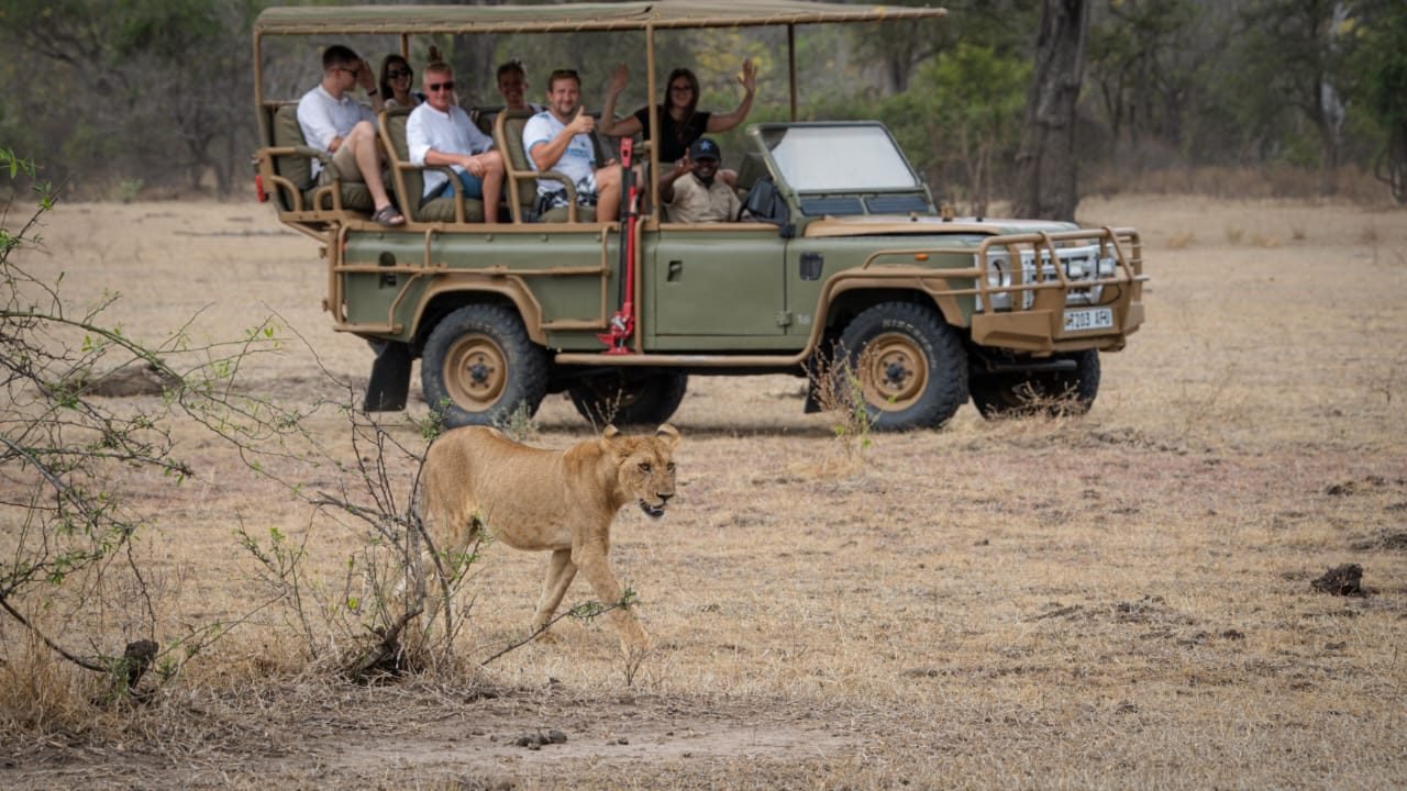 3-Day Sunset & Sunrise Trip from Zanzibar to Nyerere NP
