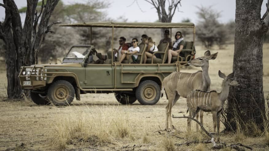 Transfer from Zanzibar and Evening Game Drive