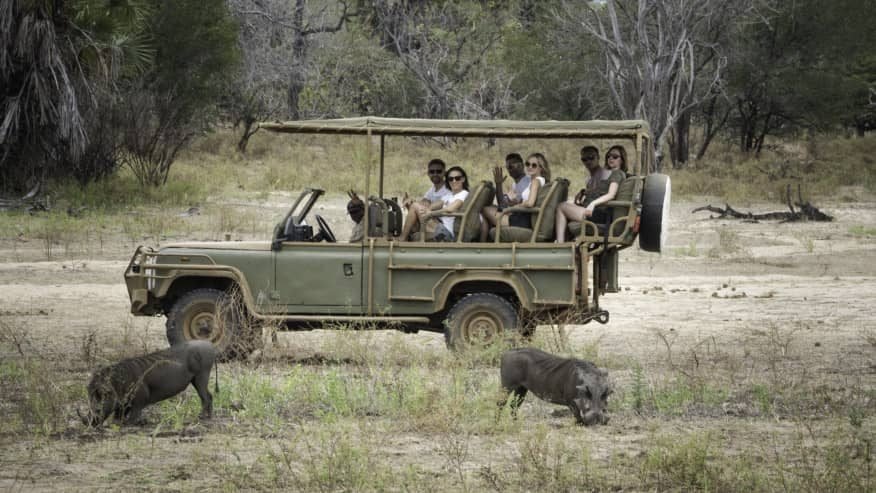 Flying Zanzibar to Mikumi NP, Full Day Game Drive