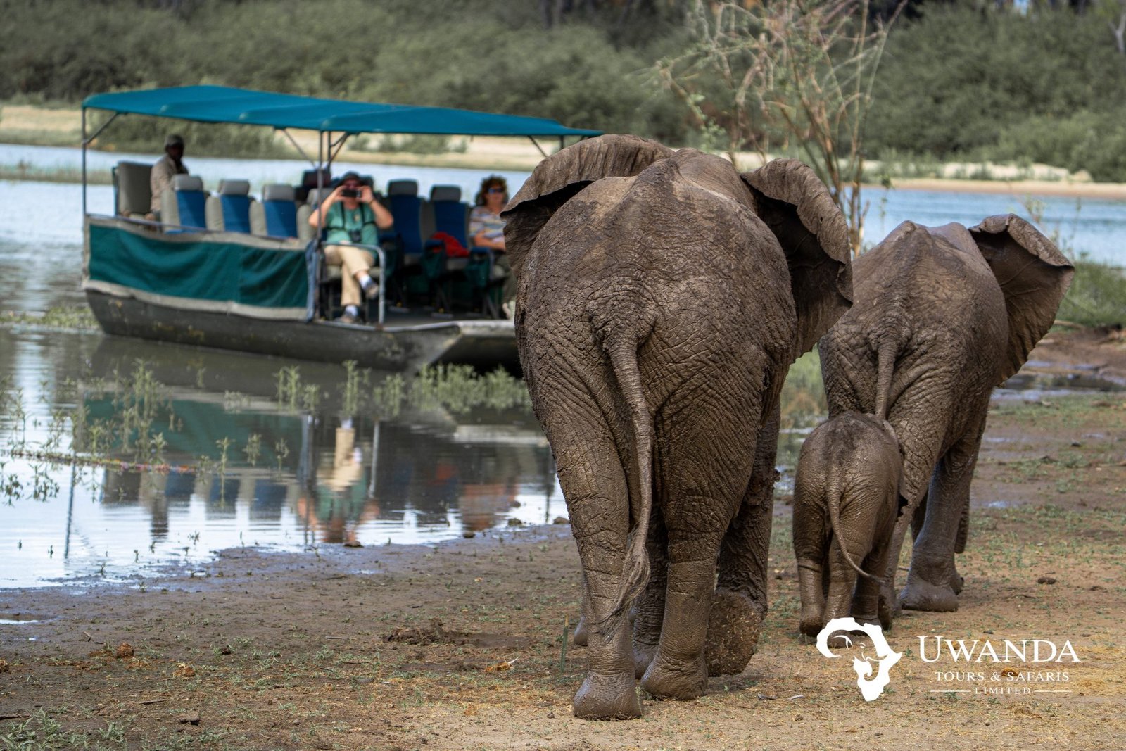 3-Day Zanzibar to Selous Boat Fishing, Game Drive by Flight