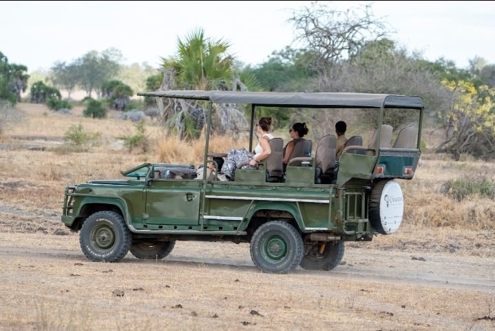 4-Day Nyerere Evening Fly-in  Safari Game Drive & Boat Safari + Maasai Culture Tour