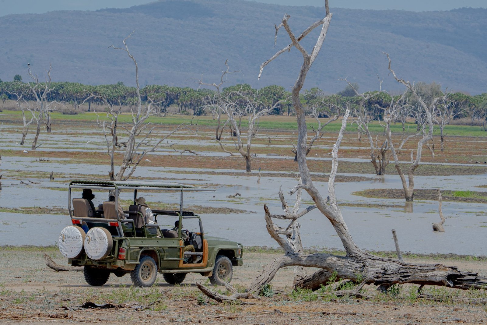 Fully Day Game Drive & Sunset Boat Safari
