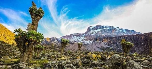 Barranco Camp – Karanga Camp