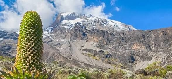 Barranco Camp – Karanga Camp