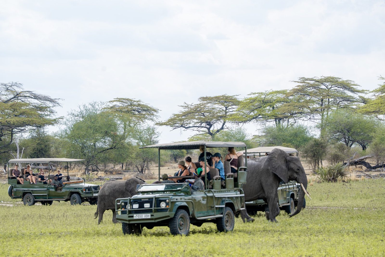 4-Day Nyerere Evening Fly-in  Safari Game Drive & Boat Safari + Maasai Culture Tour